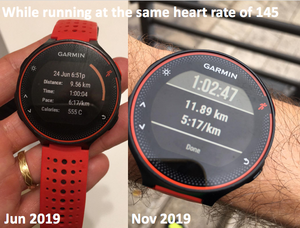 martin pasquier low heart rate maffetone method